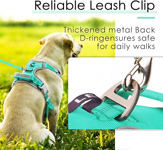 ThinkPet No Pull Harness Breathable Sport Harness with Handle-Dog Harnesses Reflective Adjustable for Medium Large Dogs,Back/Front Clip for Easy Control L Teal