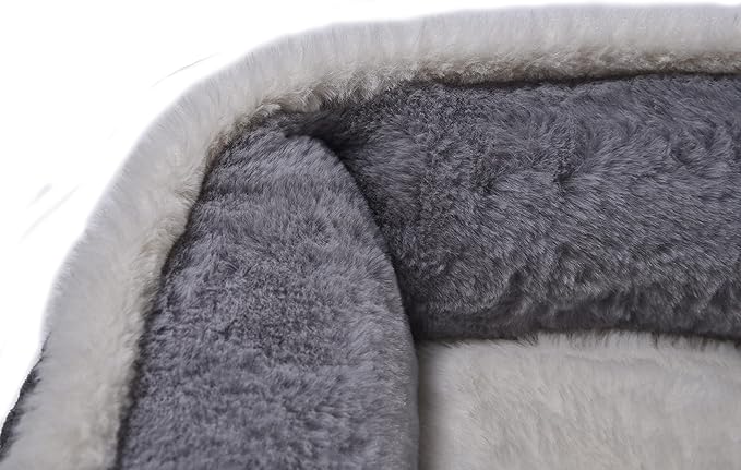 Dog Beds for Small Dogs
