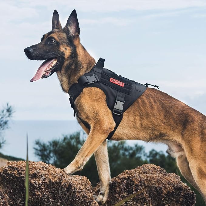 OneTigris Tactical Dog Harness - Fire Watcher Comfortable Patrol Vest (Black, Medium)