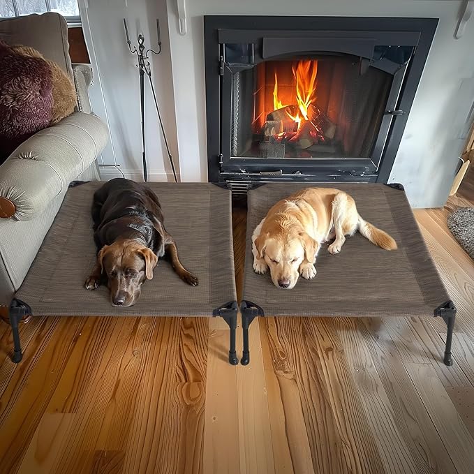 Veehoo 2 Pack Raised Dog Bed 42" x 30", Brown, CWC1803-L