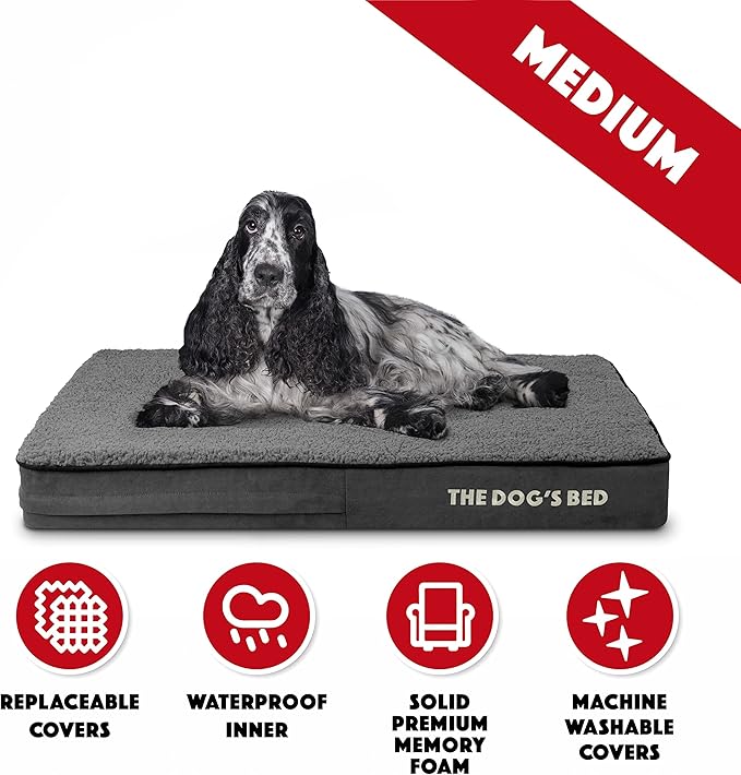 The Dog’s Bed Orthopedic Memory Foam Dog Bed 34x22, Pain