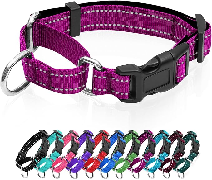 Reflective Martingale Dog Collars. Dog Collar with Quick