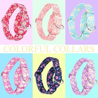 Martingale Collar 1.5 Inches Wide Girl Dog Collar