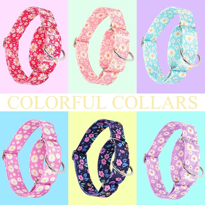 Martingale Collar 1.5 Inches Wide Girl Dog Collar