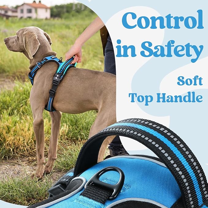 rabbitgoo Dog Harness for Large, No Pull Pet Harness with 3 Buckles, Adjustable Soft Padded Dog Vest with Instant Control Handle, Easy Walking Reflective Pet Vest for Large Dogs, Sky Blue, L