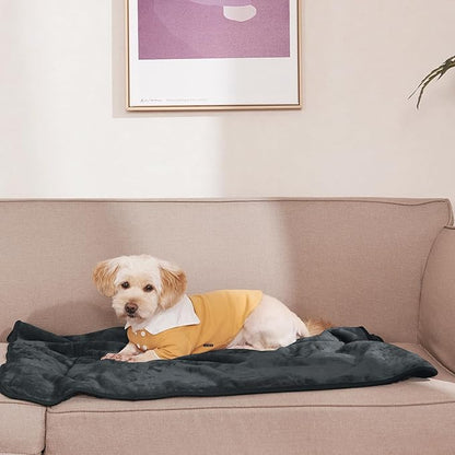 NICETOWN Waterproof Dog Blankets for Medium Dogs 30"X40", Grey