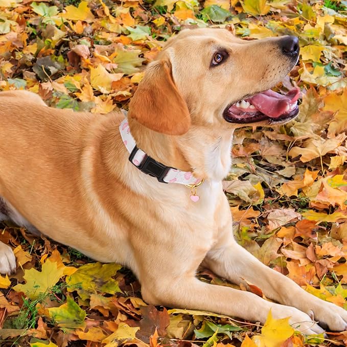 Cotton Handmade Dog Collar Cute and Distinctive Patterns
