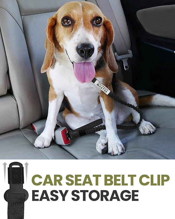 OutdoorMaster Bungee Dog Leash 2 Padded 4 FT