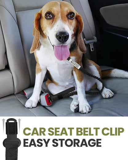 OutdoorMaster Bungee Dog Leash 2 Padded 4 FT