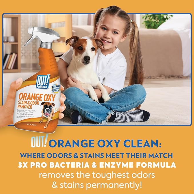 OUT! PetCare Complete Oxy Pet Stain and Odor Remover, Oxy Orange Cleaner Spray, Stain and Odor Eliminator, Pet Carpet Cleaner, Urine Remover and Odor Neutralizer, Safe, Effective, 32 fl oz