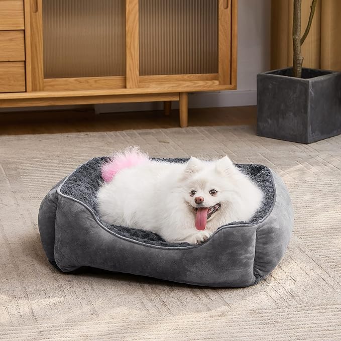 JOEJOY Rectangle Dog Bed for Large Medium Small Dogs Machine Washable Sleeping Dog Sofa Bed Non-Slip Bottom Breathable Soft Puppy Bed Durable Orthopedic Calming Pet Cuddler