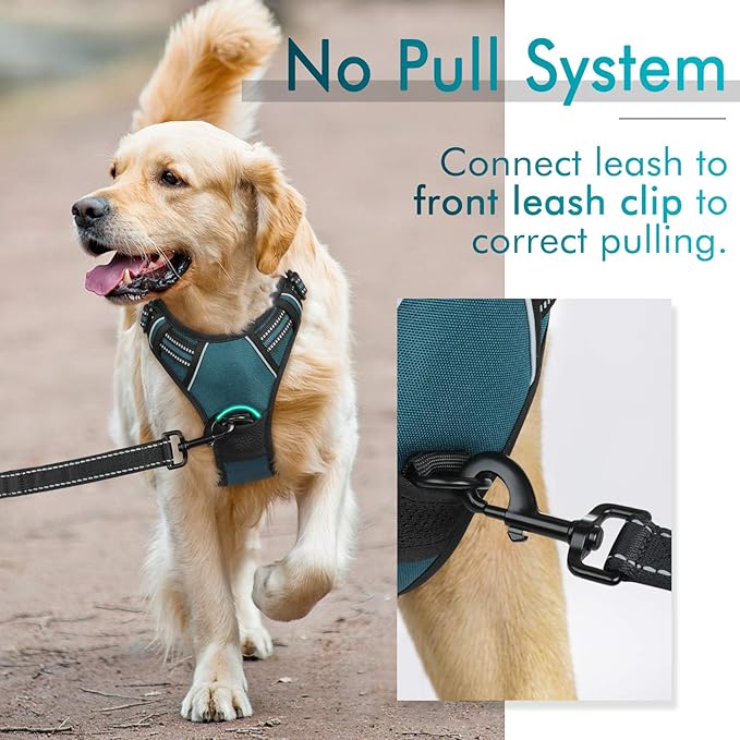 rabbitgoo Dog Harness, No-Pull Pet Harness with 2 Leash Clips, Adjustable Soft Padded Dog Vest, Reflective No-Choke Pet Oxford Vest with Easy Control Handle for Large Dogs, Blue Coral, XL