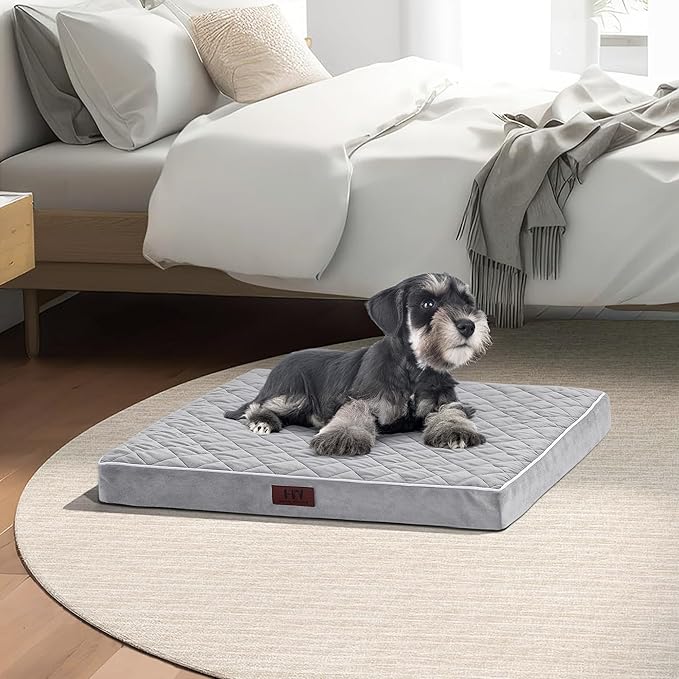 Orthopedic Dog Beds for Small Dogs with Removable Washable Cover 22 inch,