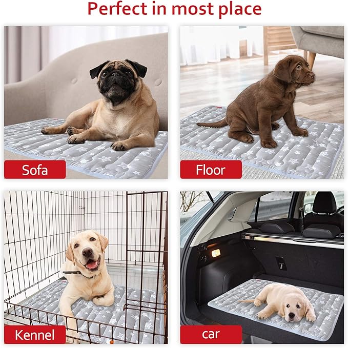 Dog Crate Mat (30" X 19") 2 Pack