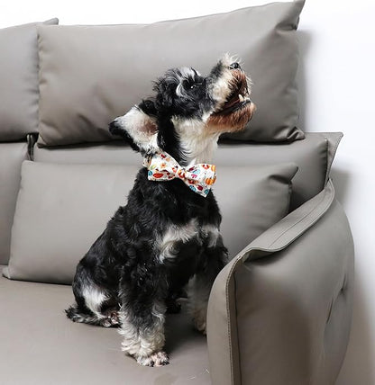 Unique Style Paws Cotton Dog Collar with Bow
