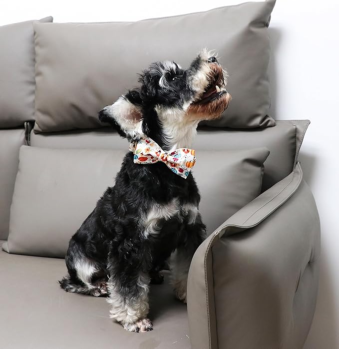 Unique Style Paws Cotton Dog Collar with Bow
