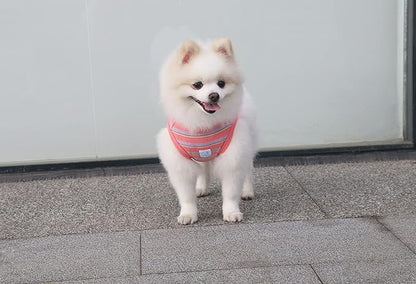 Striped Teacup Pet Dog T-Shirts 100% Cotton 3X-Small