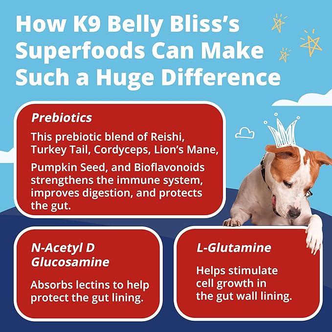 K9 Belly Bliss - Daily Prebiotic for Dogs - Vet-Approved Digestive Support, 3 Pack with 30 Scoops Each