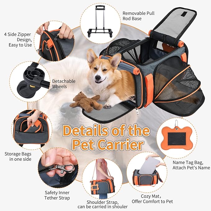 LOOBANI Pet Carrier with Wheels, Large Pet Carrier Not Airline Approved for Small & Medium Dogs Puppy Up to 25 LBS Dog Carrier, Cat Carrier Go Out Convenient and Easy Travel Vet Visit (20"x13"x13")