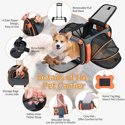 LOOBANI Pet Carrier with Wheels, Large Pet Carrier Not Airline Approved for Small & Medium Dogs Puppy Up to 25 LBS Dog Carrier, Cat Carrier Go Out Convenient and Easy Travel Vet Visit (20"x13"x13")