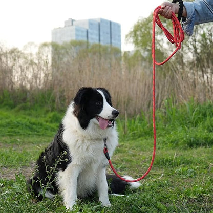 NTR Long Leash for Dogs 100FT Check