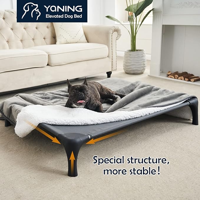 Elevated Dog Bed for Medium Dogs 150lbs, Durable