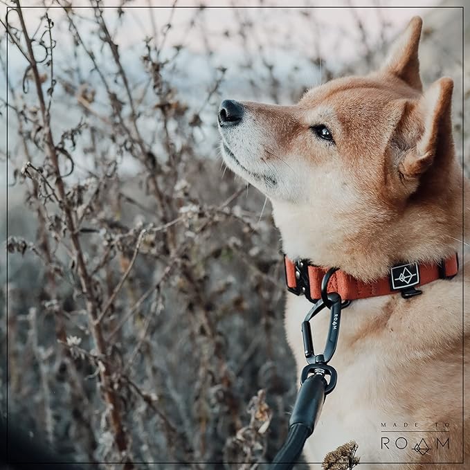 MADE TO ROAM Premium Everyday Leash 4ft (Rubber