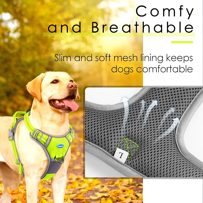 ThinkPet No Pull Harness Breathable Sport Harness with Handle-Dog Harnesses Reflective Adjustable for Medium Large Dogs,Back/Front Clip for Easy Control M Neon Green