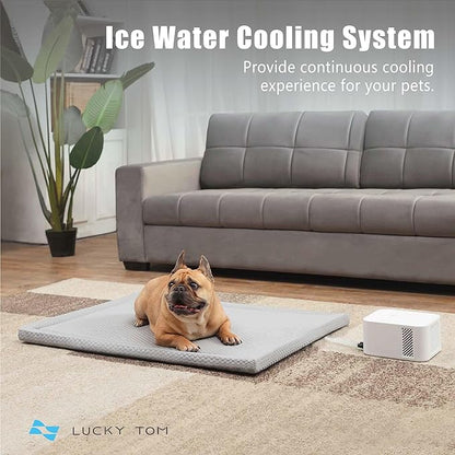 Pet Pad Cooling System for Summer