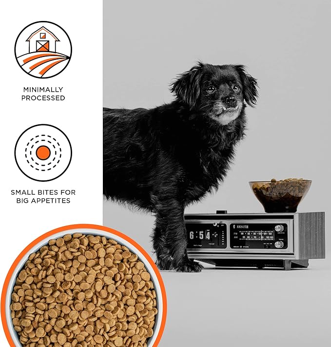 BIXBI Liberty Small Breed Grain Free Dry Dog Food, Chicken, 4 lbs - Fresh Meat, No Meat Meal, No Fillers - Gently Steamed & Cooked - No Soy, Corn, Rice or Wheat for Easy Digestion - USA Made