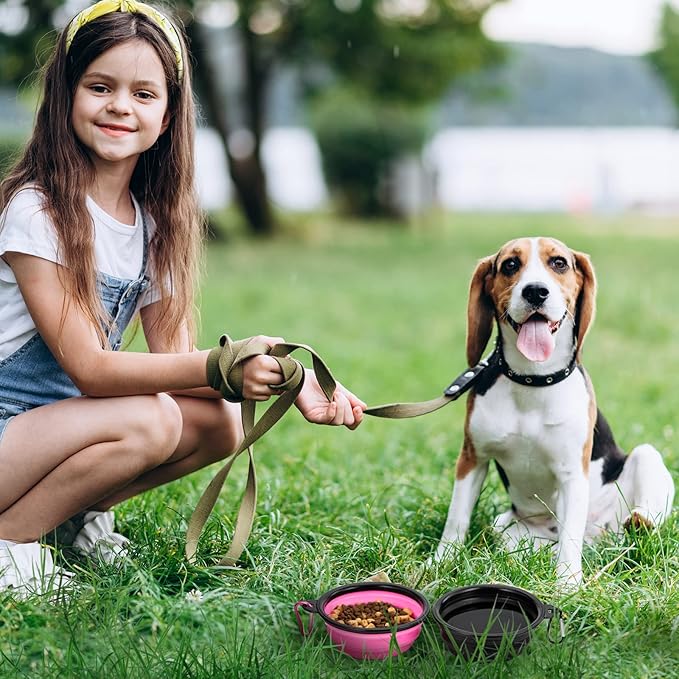 Dog Bowl Pet Collapsible Bowls, 2 Pack Collapsible Dog Water Bowls for Cats Dogs, Portable Pet Feeding Watering Dish for Walking Parking Traveling with 2 Carabiners (Small, Black & Pink)