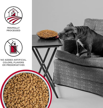 BIXBI Liberty Grain Free Dry Dog Food, Beef, 22 lbs - Fresh Meat, No Meat Meal, No Fillers - Gently Steamed & Cooked - No Soy, Corn, Rice or Wheat for Easy Digestion - USA Made