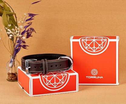 Soft Leather Dog Collar