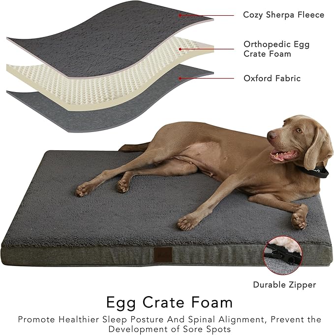 DaysU Dog Bed for Small Dogs 20 lbs, 30x20x3in
