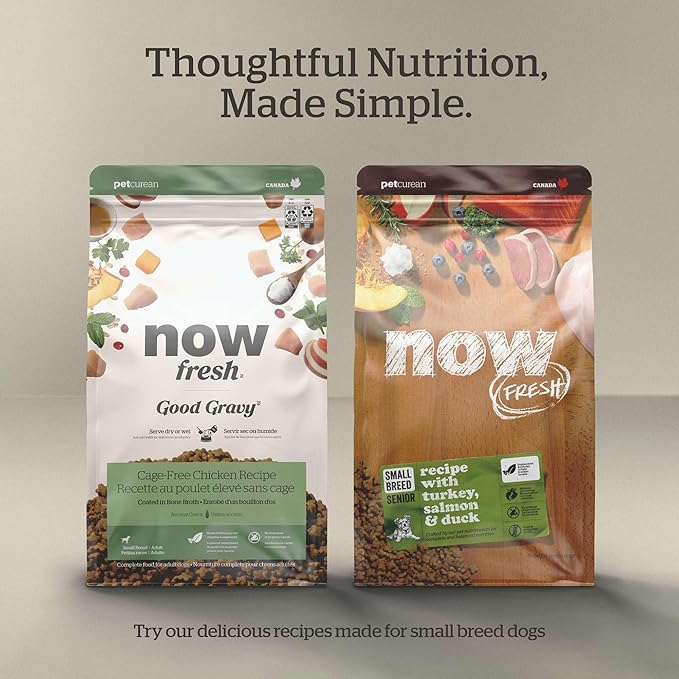 Now Fresh Grain-Free Dry Dog Food 6 lb