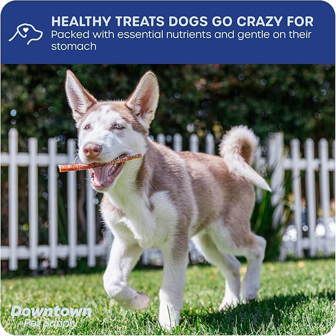 Downtown Pet Supply 12-inch Bully Sticks for Large Dogs, Pack of 8 - Single Ingredient, Rawhide Free Dog Chews for Aggressive Chewers - Nutrient-Rich and Odor Free Bully Sticks for Dogs - Beef