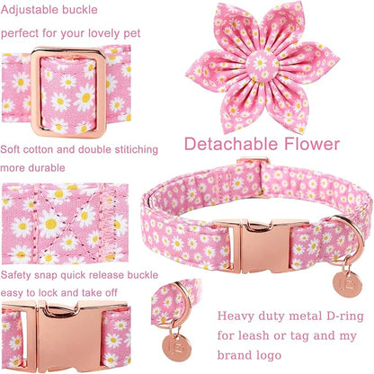 Summer Dog Collar with Flower 10-16in