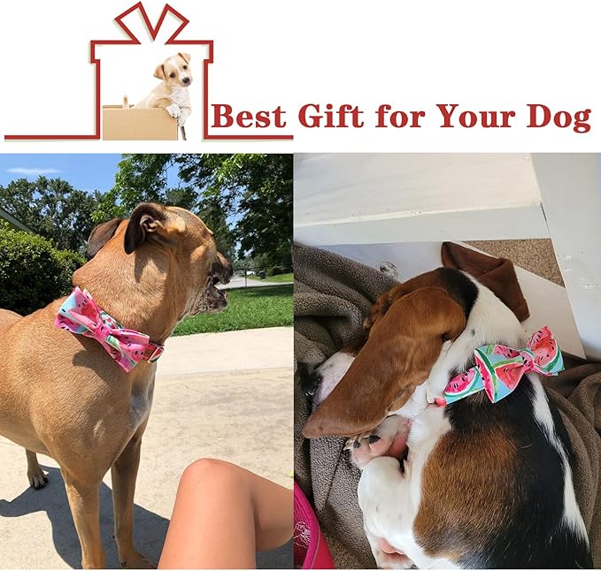 Unique style paws Bowtie Dog Collar Cotton Watermelon Collar Adjustable Summer Collar for Small Medium Large Dogs