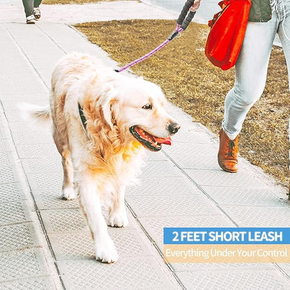 BAAPET 2/4/5/6 FT Dog Leash with Comfortable Padded Handle and Highly Reflective Threads for Small Medium and Large Dogs (2FT-1/2''