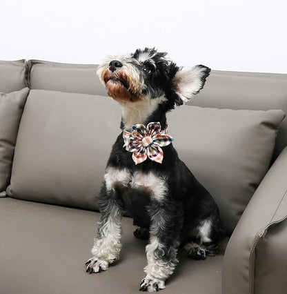Unique Style Paws Cotton Dog Collar with Bow