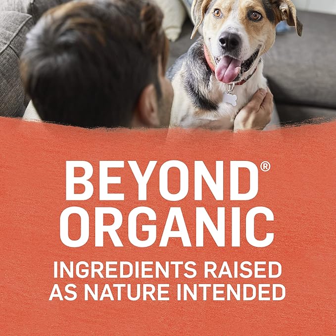 Purina Beyond Organic Wet Dog Food, Organic Chicken & Sweet Potato Adult Recipe Ground Entrée With Broth - (Pack of 12) 13 oz. Cans