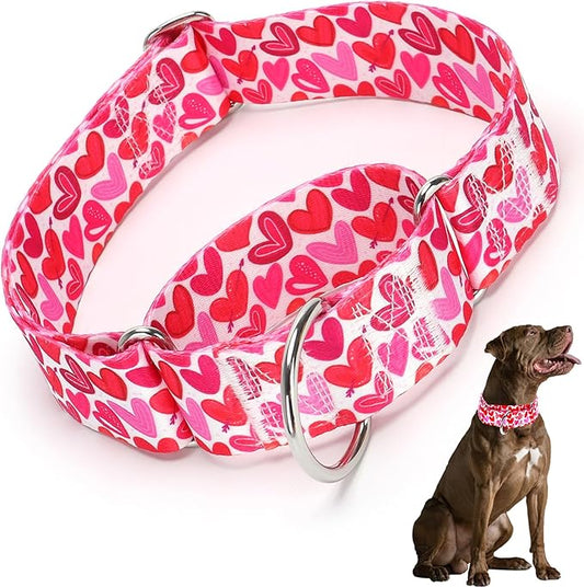 1.5 Inches Wide Martingale Dog Collar for Large Dogs
