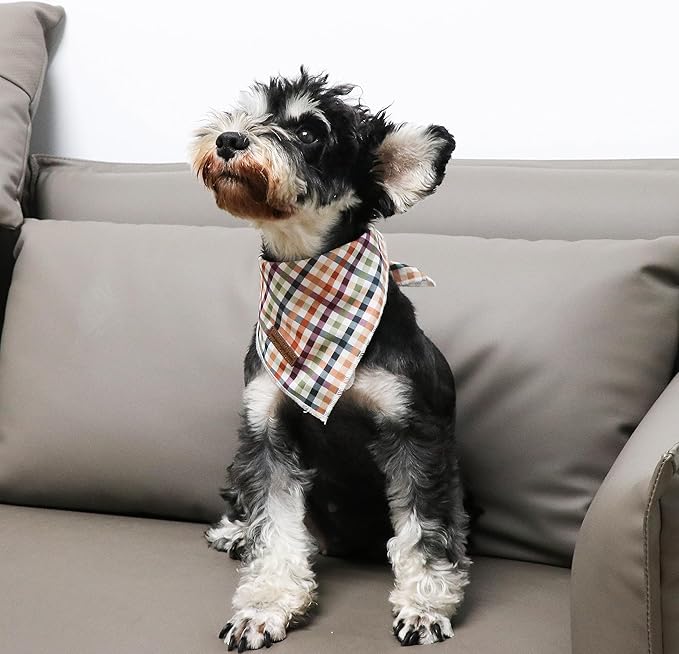 Unique Style Paws Cotton Dog Collar with Bow