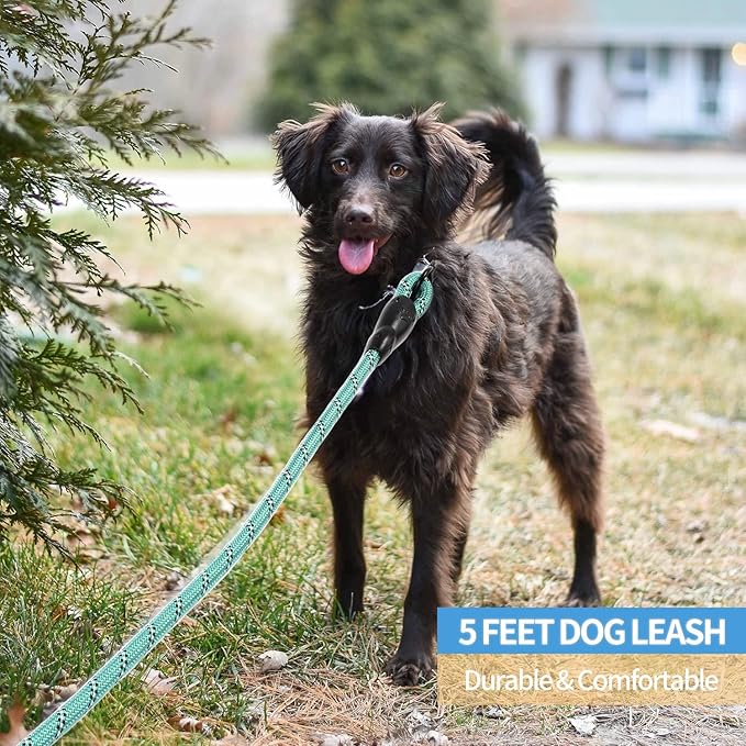 BAAPET 2/4/5/6 FT Dog Leash with Comfortable Padded Handle and Highly Reflective Threads for Small Medium and Large Dogs (5FT-1/2''