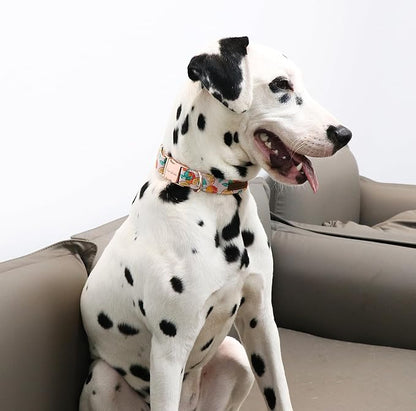 Unique style paws Dog Collar Metal Buckle Collar