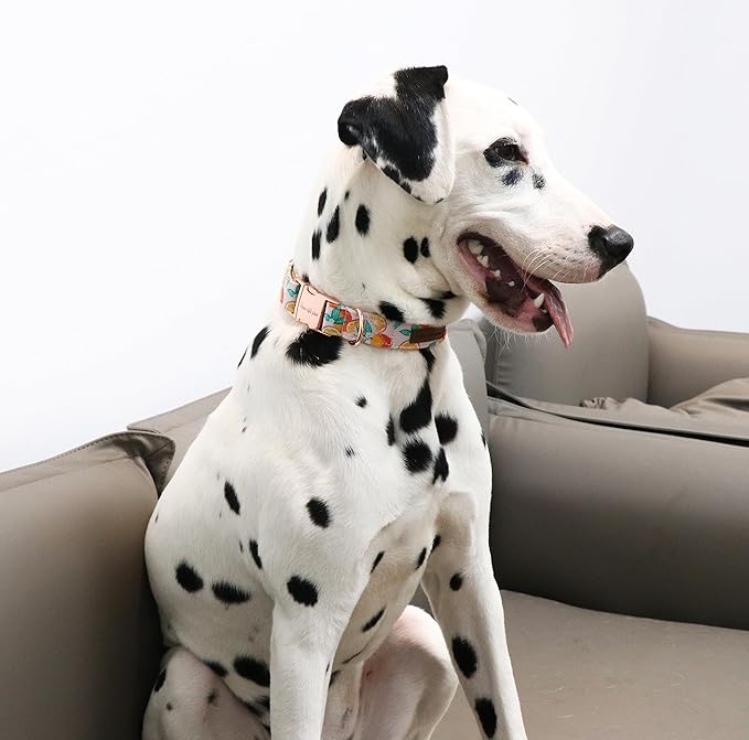 Unique style paws Dog Collar Metal Buckle Collar