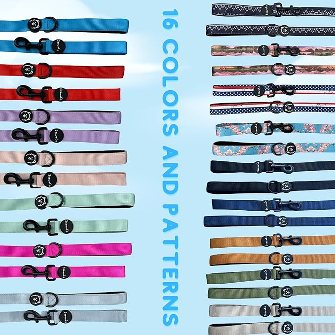 ShawnCo Dream Walk Dog Leash- Premium