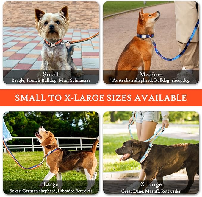 Gilley&Co Dog Collar and Leash Set 8 Designs, 4 Sizes