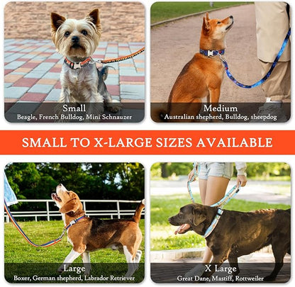 Gilley&Co Dog Collar and Leash Set 8 Designs, 4 Sizes