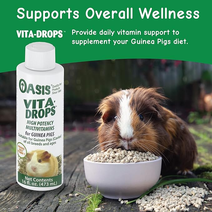 OASIS #80069 Guinea Pig Vita-Drop Vitamins, 16-Ounce liquid multivitamin with Vitamin C